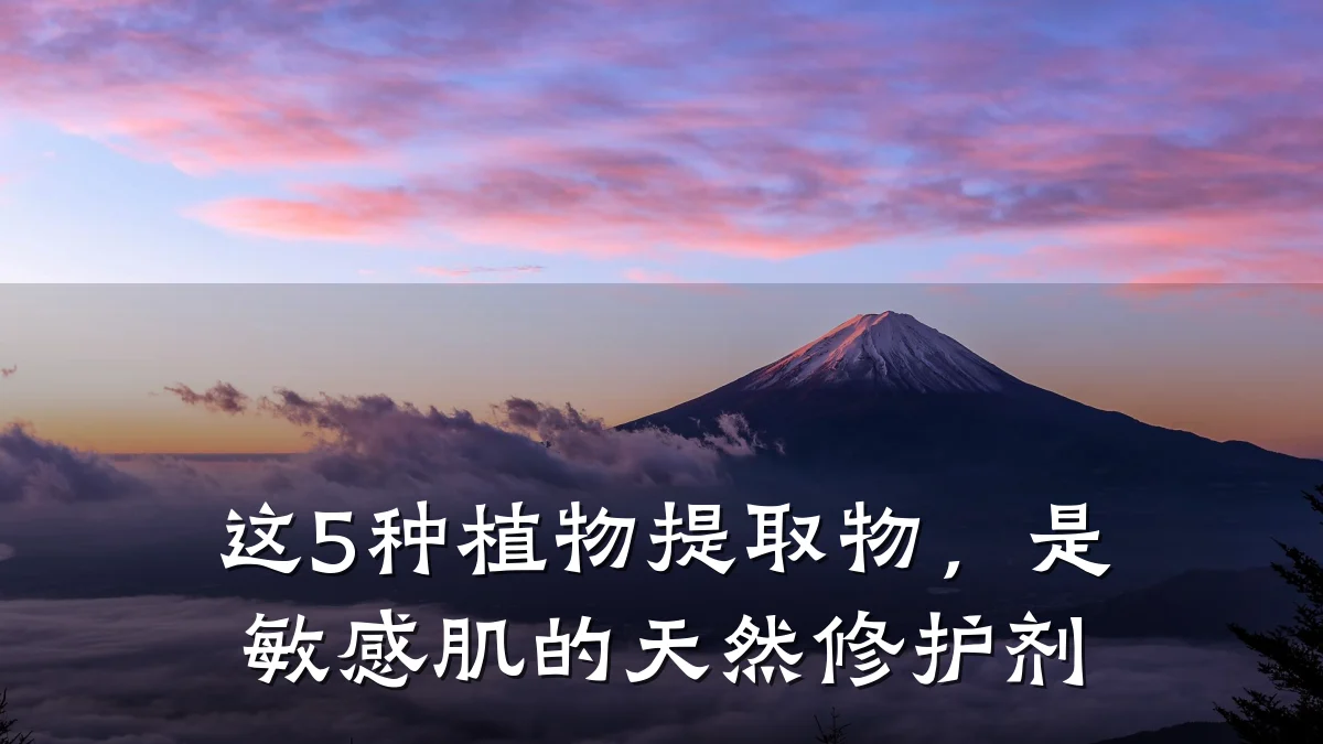 这5种植物提取物,是敏感肌的天然修护剂