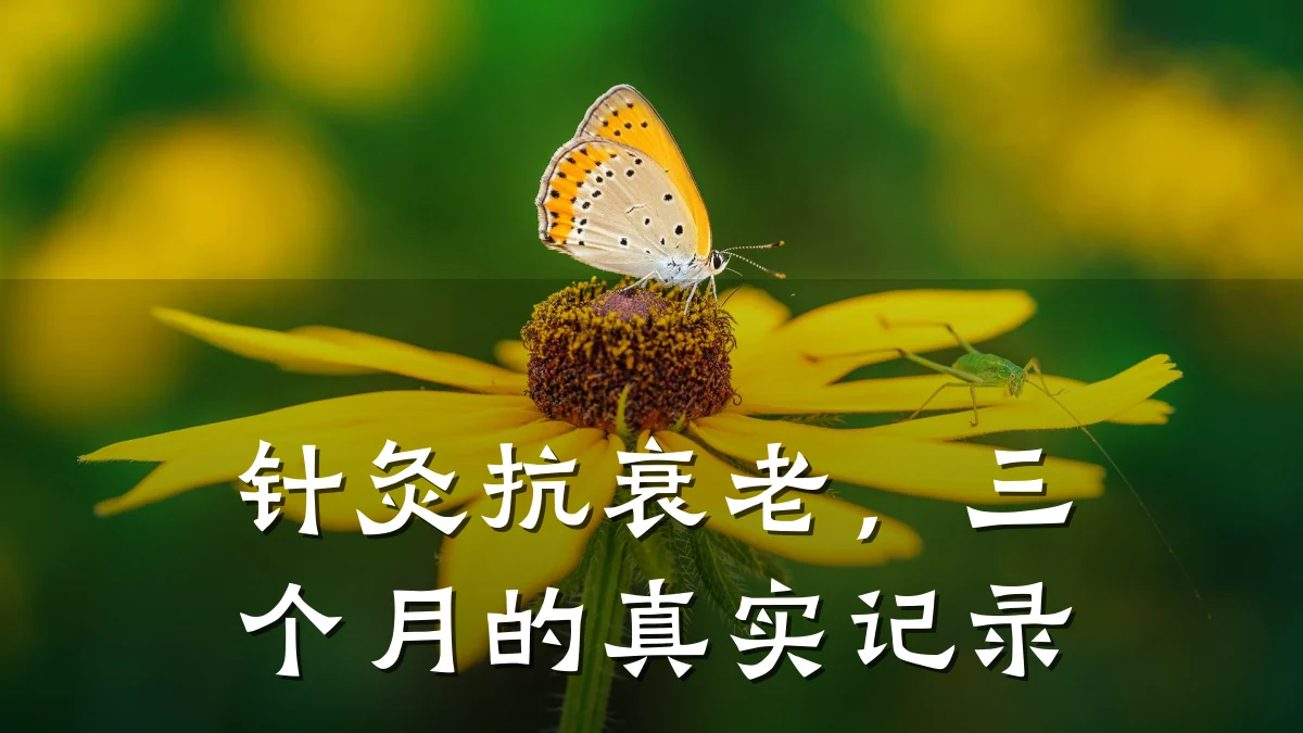 针灸抗衰老，三个月的真实记录