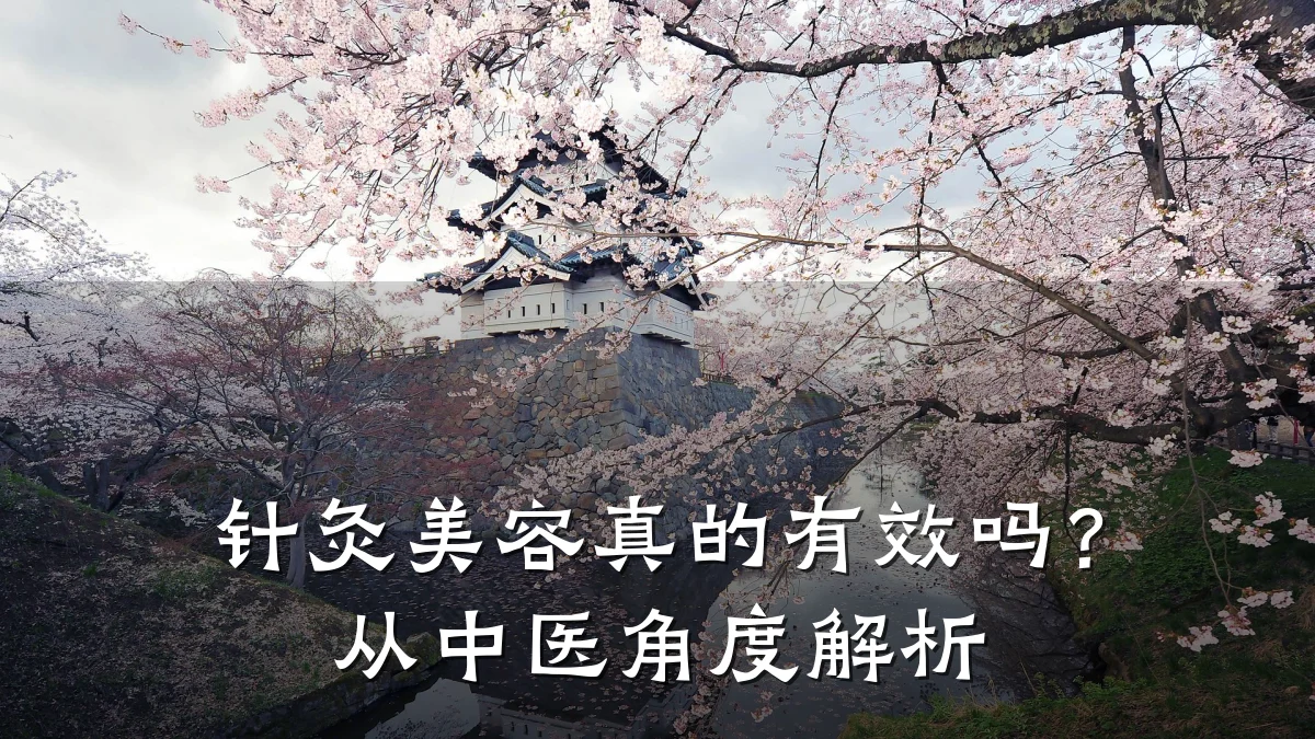 针灸美容真的有效吗？从中医角度解析