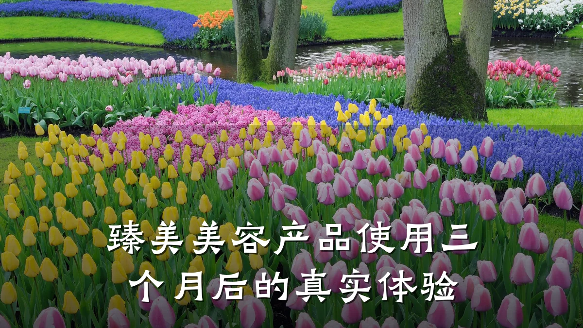 臻美美容产品使用三个月后的真实体验
