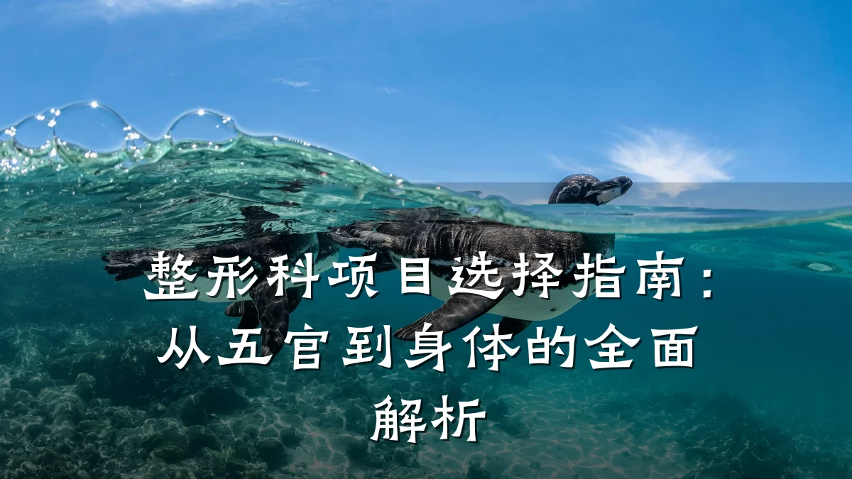 整形科项目选择指南:从五官到身体的全面解析