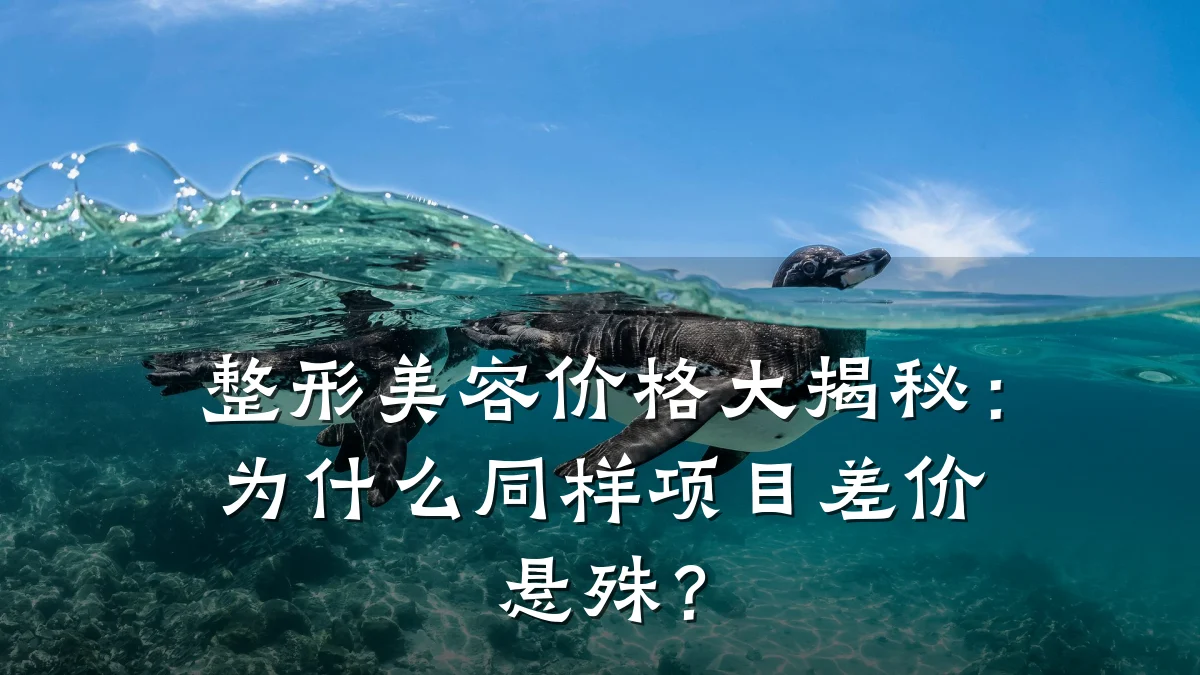 整形美容价格大揭秘：为什么同样项目差价悬殊？