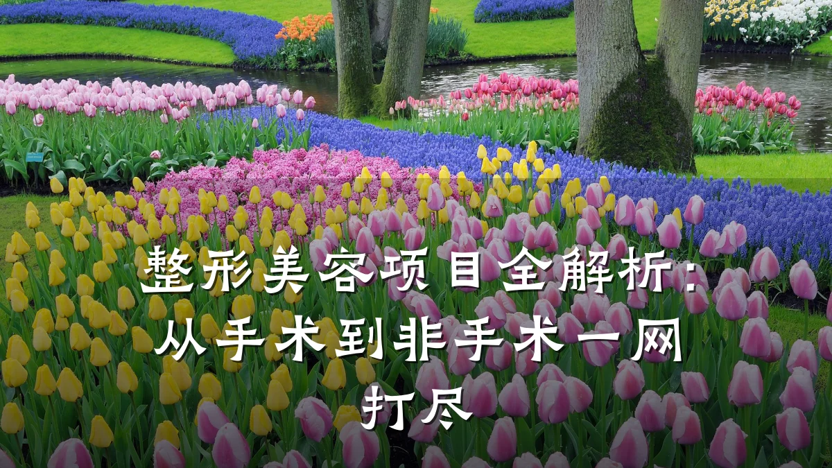 整形美容项目全解析:从手术到非手术一网打尽