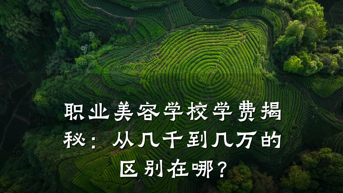 职业美容学校学费揭秘:从几千到几万的区别在哪?