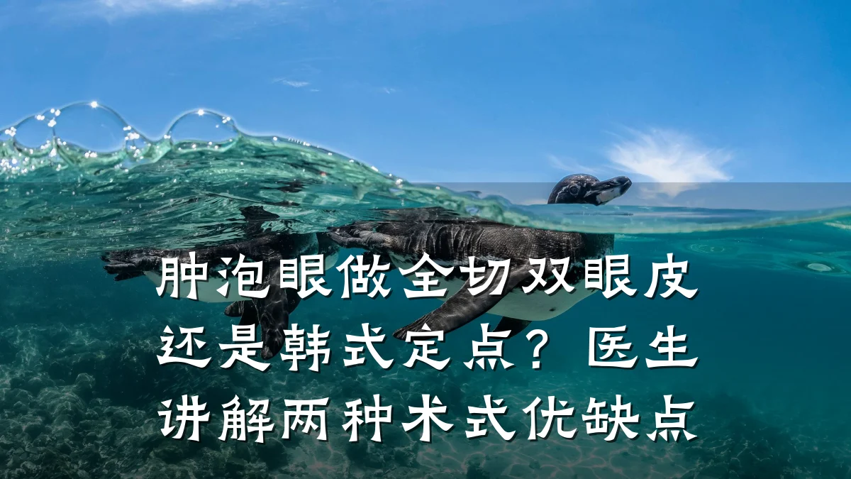 肿泡眼做全切双眼皮还是韩式定点？医生讲解两种术式优缺点
