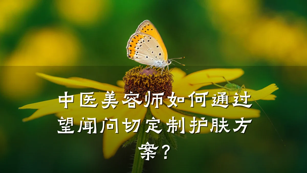 中医美容师如何通过望闻问切定制护肤方案？