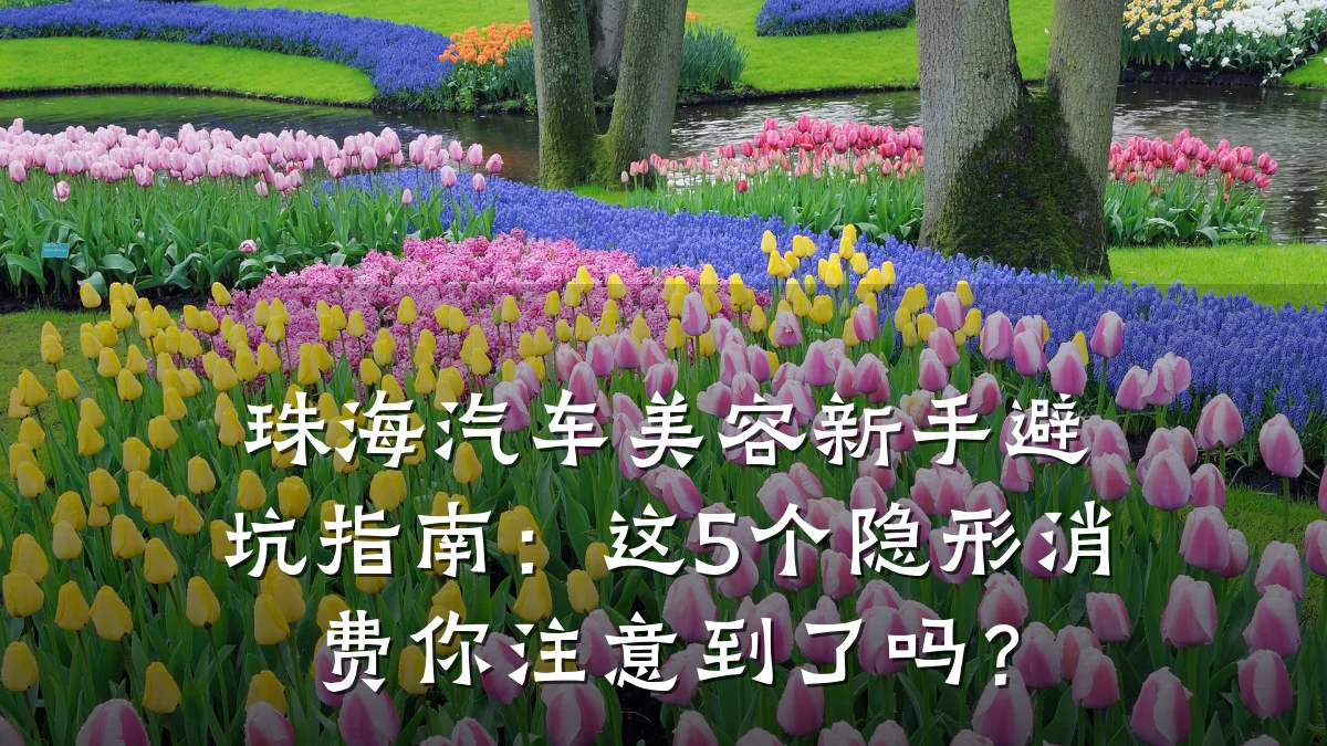 珠海汽车美容新手避坑指南：这5个隐形消费你注意到了吗？