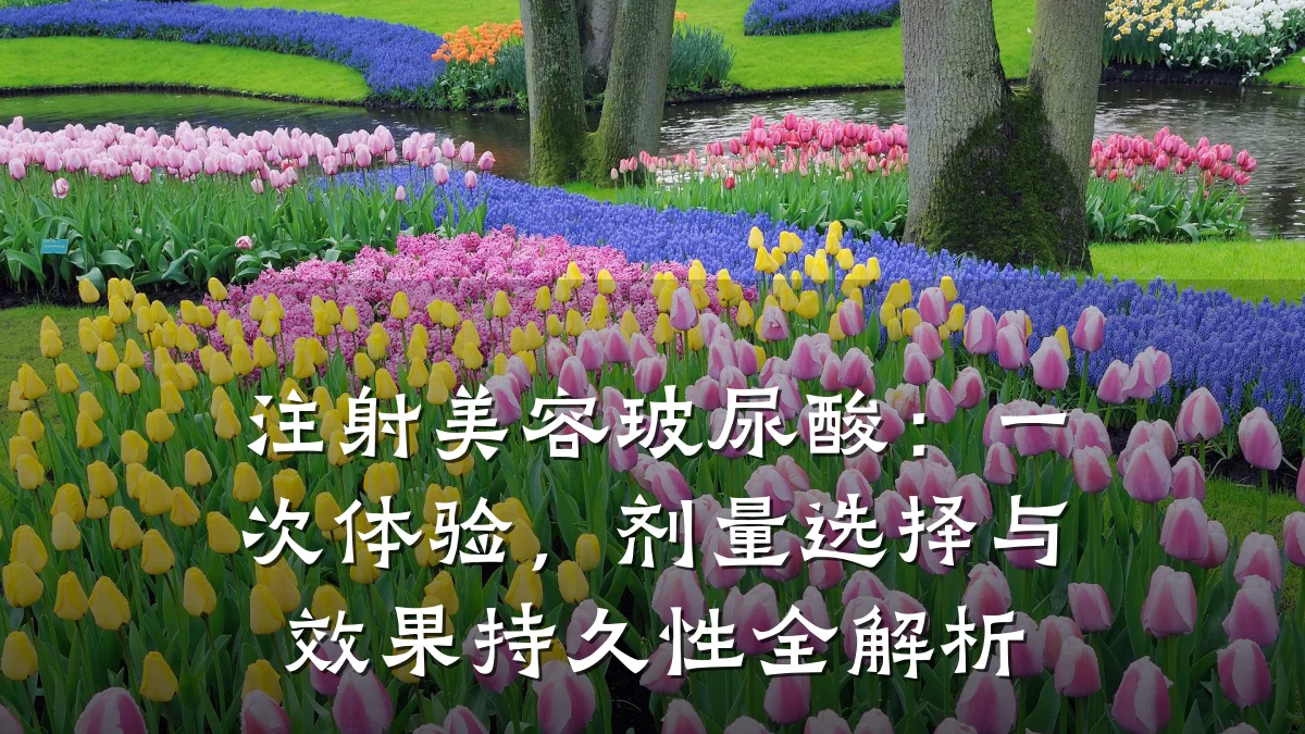 注射美容玻尿酸：一次体验，剂量选择与效果持久性全解析