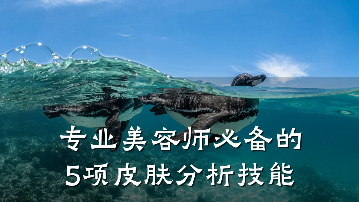 专业美容师必备的5项皮肤分析技能