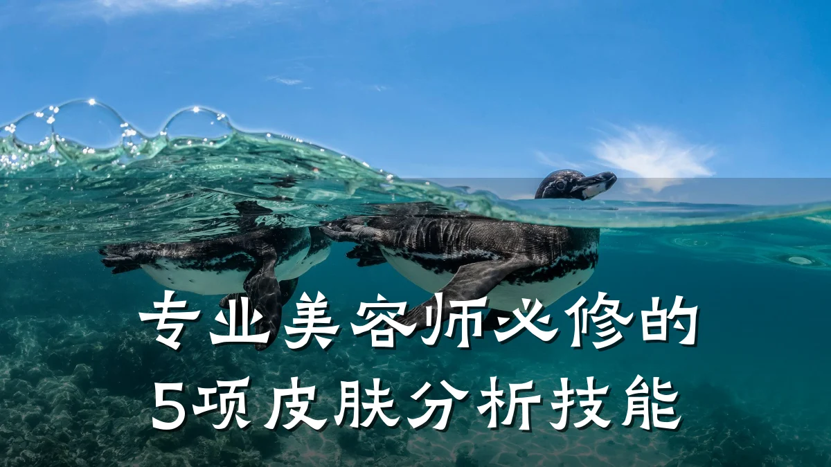 专业美容师必修的5项皮肤分析技能