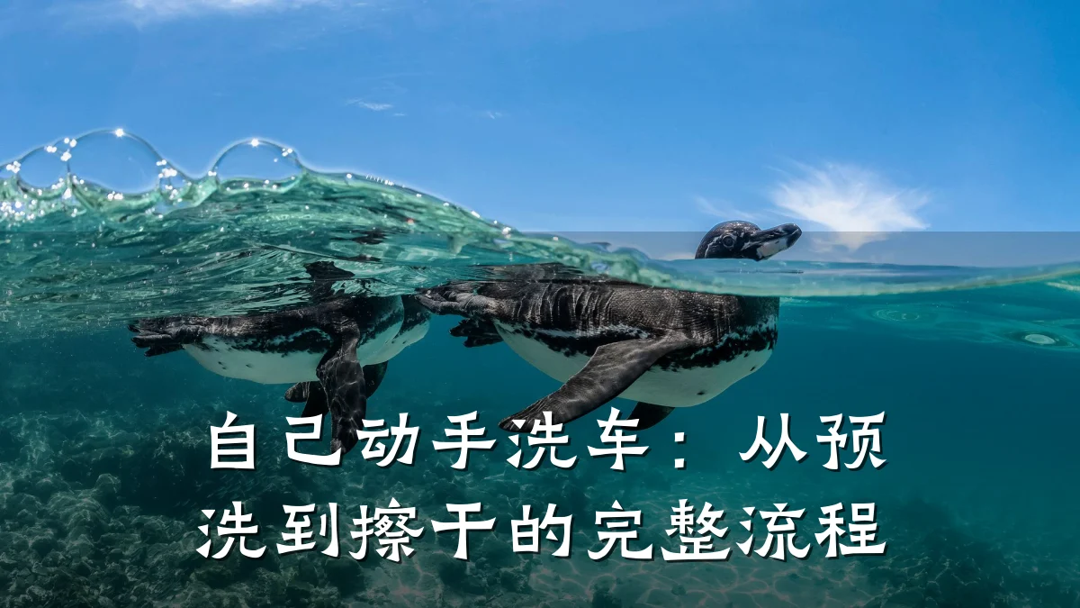 自己动手洗车:从预洗到擦干的完整流程