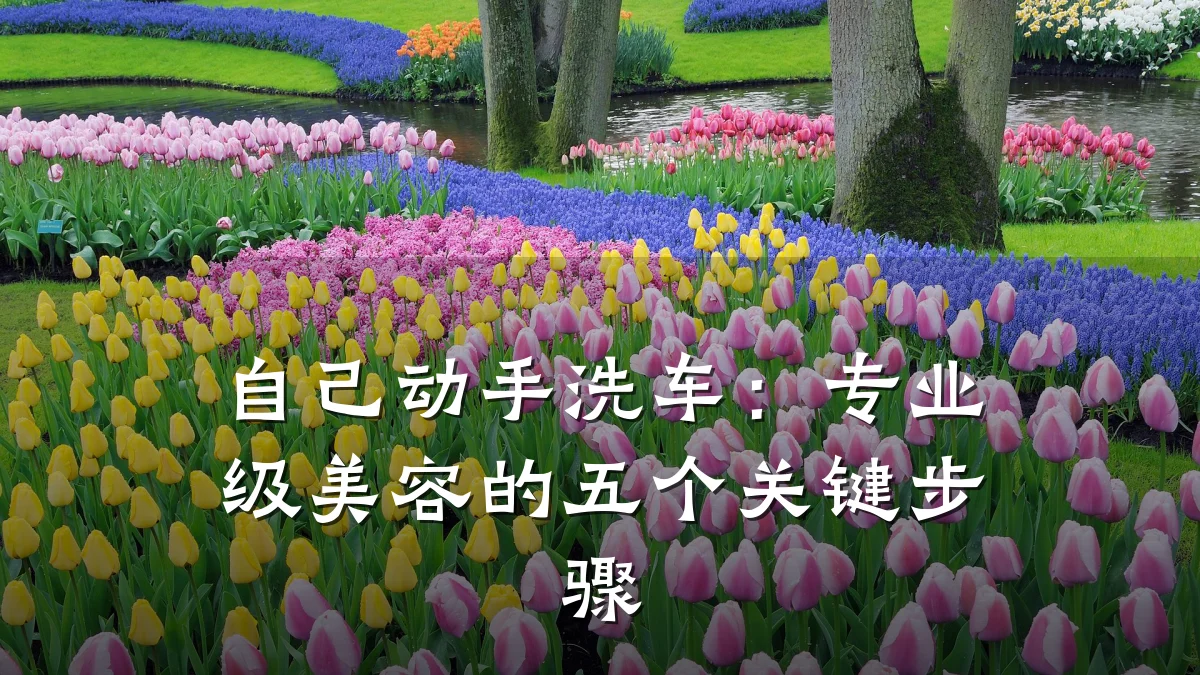 自己动手洗车:专业级美容的五个关键步骤