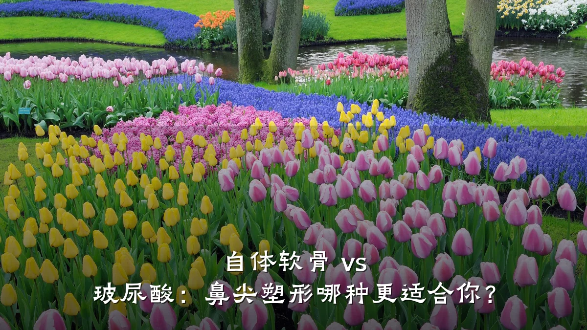 自体软骨 vs 玻尿酸：鼻尖塑形哪种更适合你？