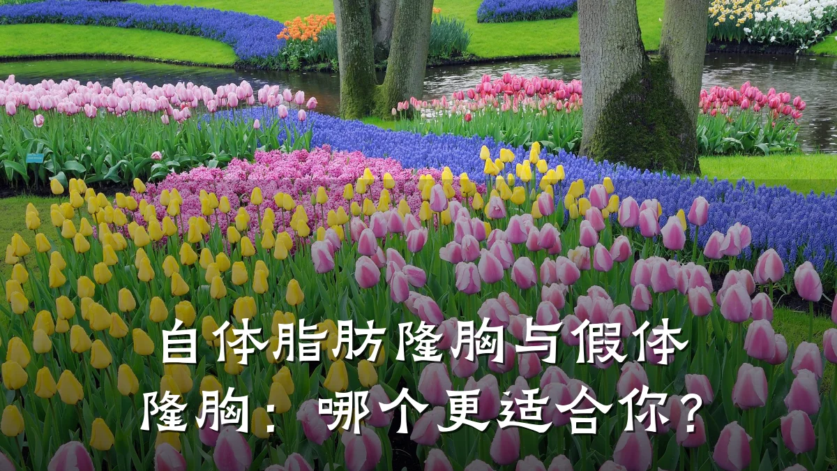 自体脂肪隆胸与假体隆胸：哪个更适合你？