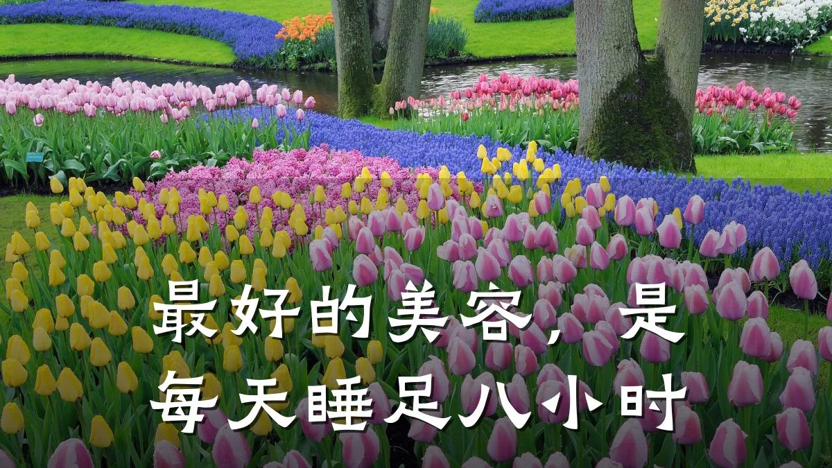 最好的美容,是每天睡足八小时