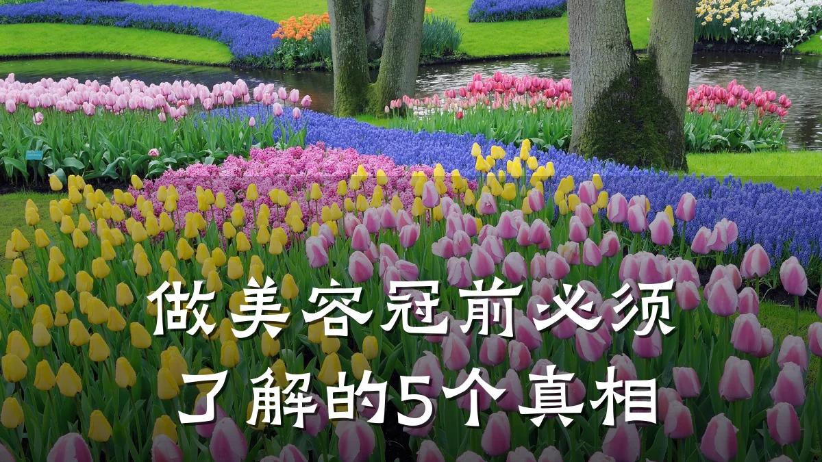 做美容冠前必须了解的5个真相