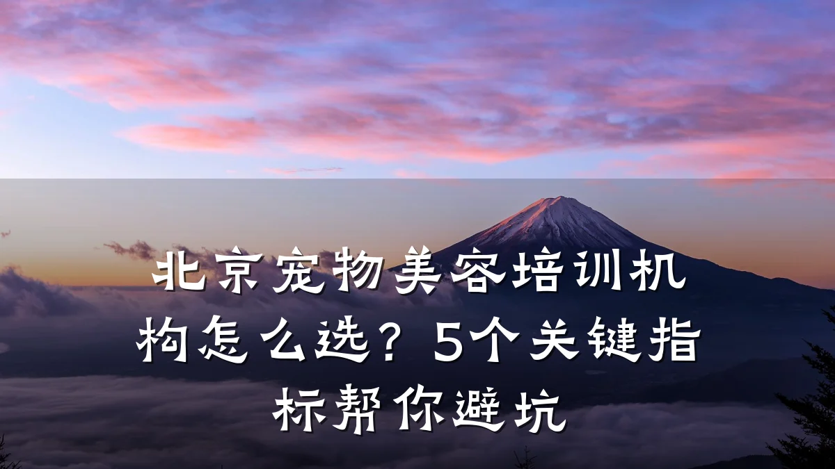 北京宠物美容培训机构怎么选？5个关键指标帮你避坑