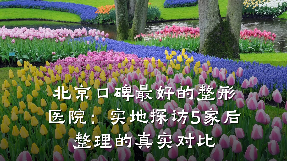 北京口碑最好的整形医院：实地探访5家后整理的真实对比