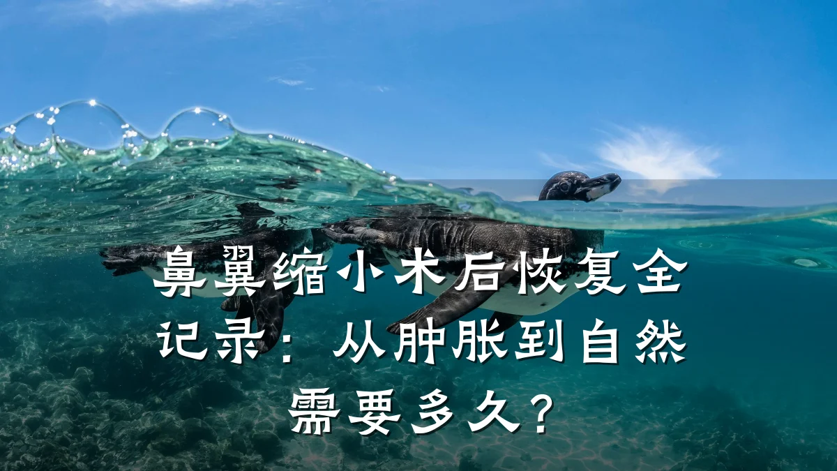 鼻翼缩小术后恢复全记录：从肿胀到自然需要多久？