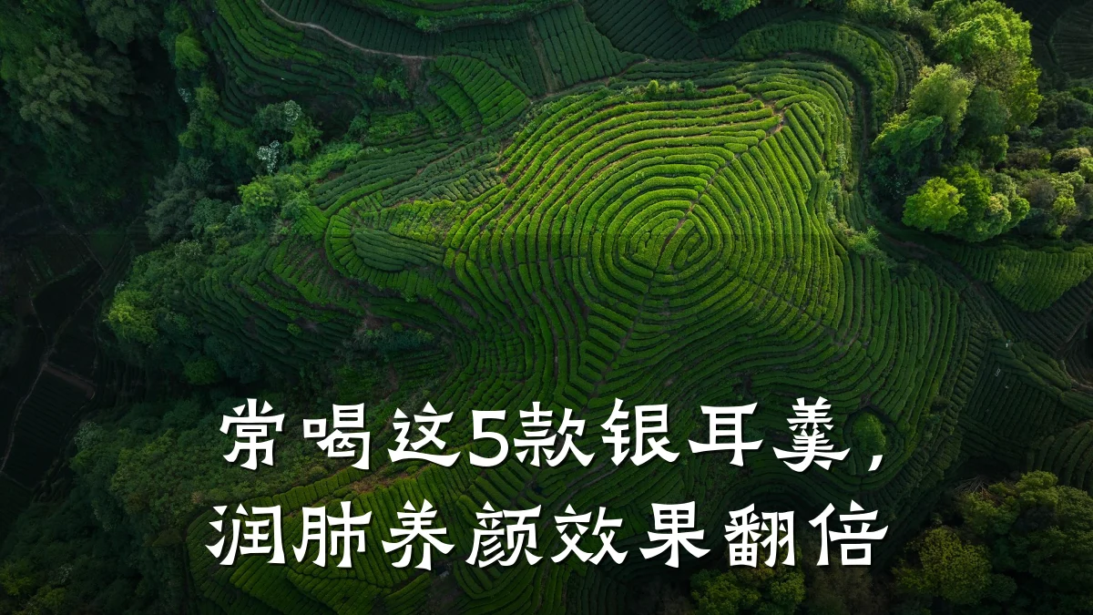 常喝这5款银耳羹，润肺养颜效果翻倍