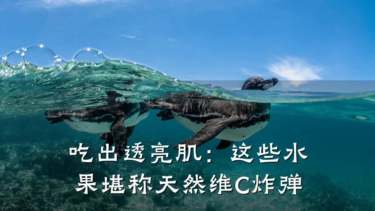 吃出透亮肌：这些水果堪称天然维C炸弹