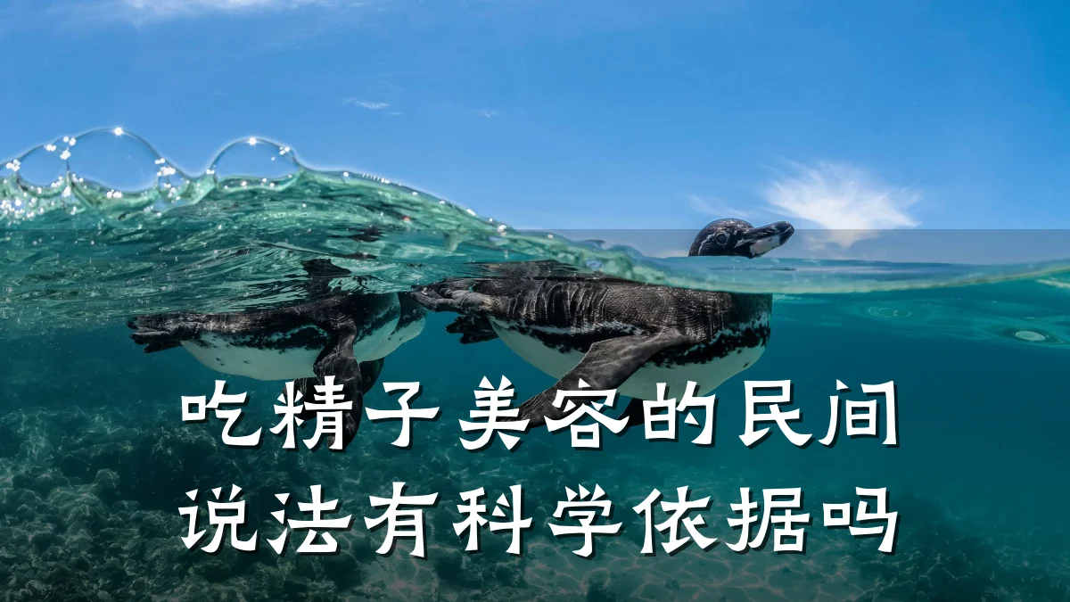吃精子美容的民间说法有科学依据吗