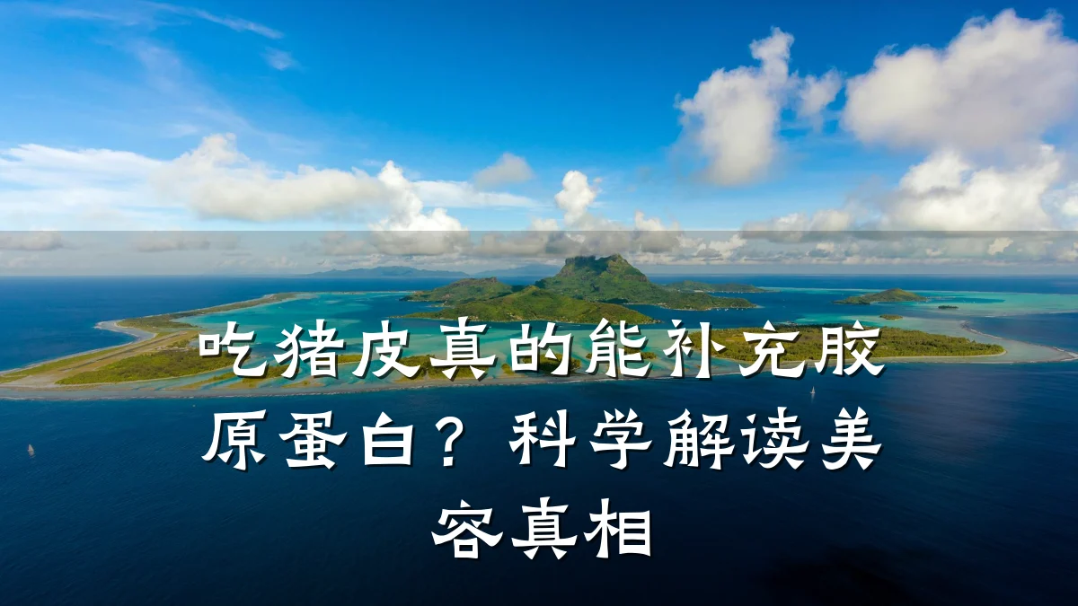 吃猪皮真的能补充胶原蛋白？科学解读美容真相