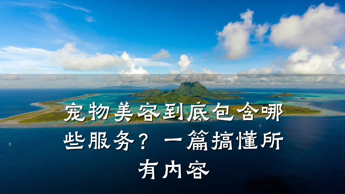 宠物美容到底包含哪些服务？一篇搞懂所有内容