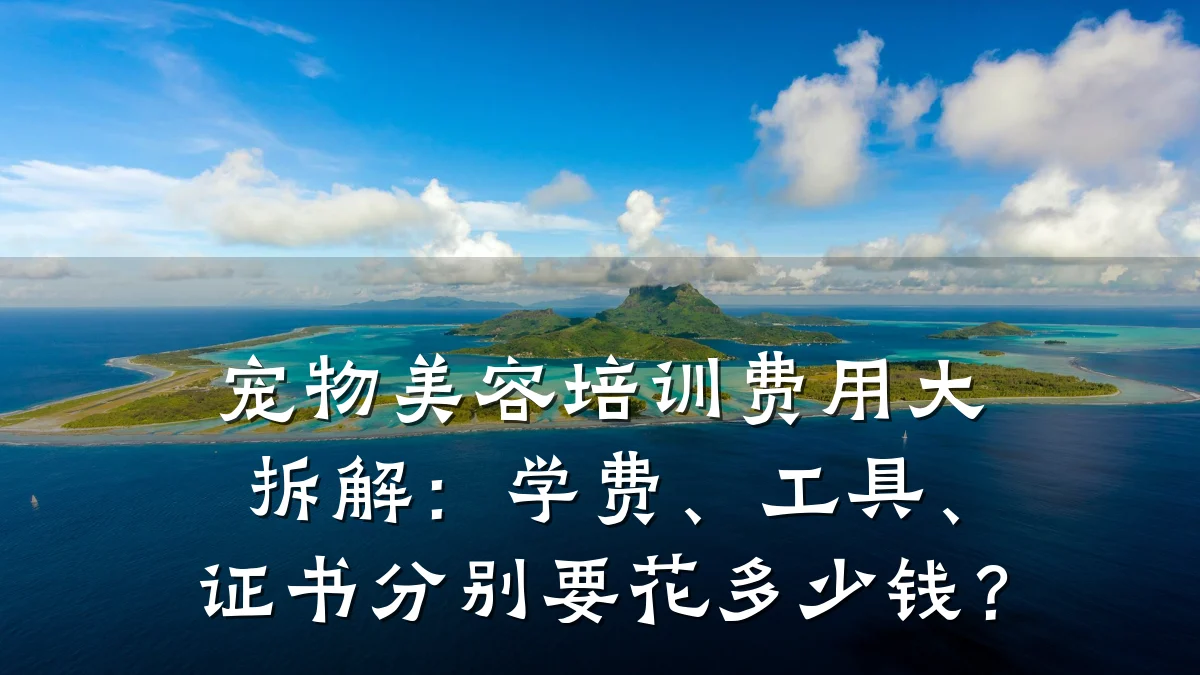 宠物美容培训费用大拆解：学费、工具、证书分别要花多少钱？