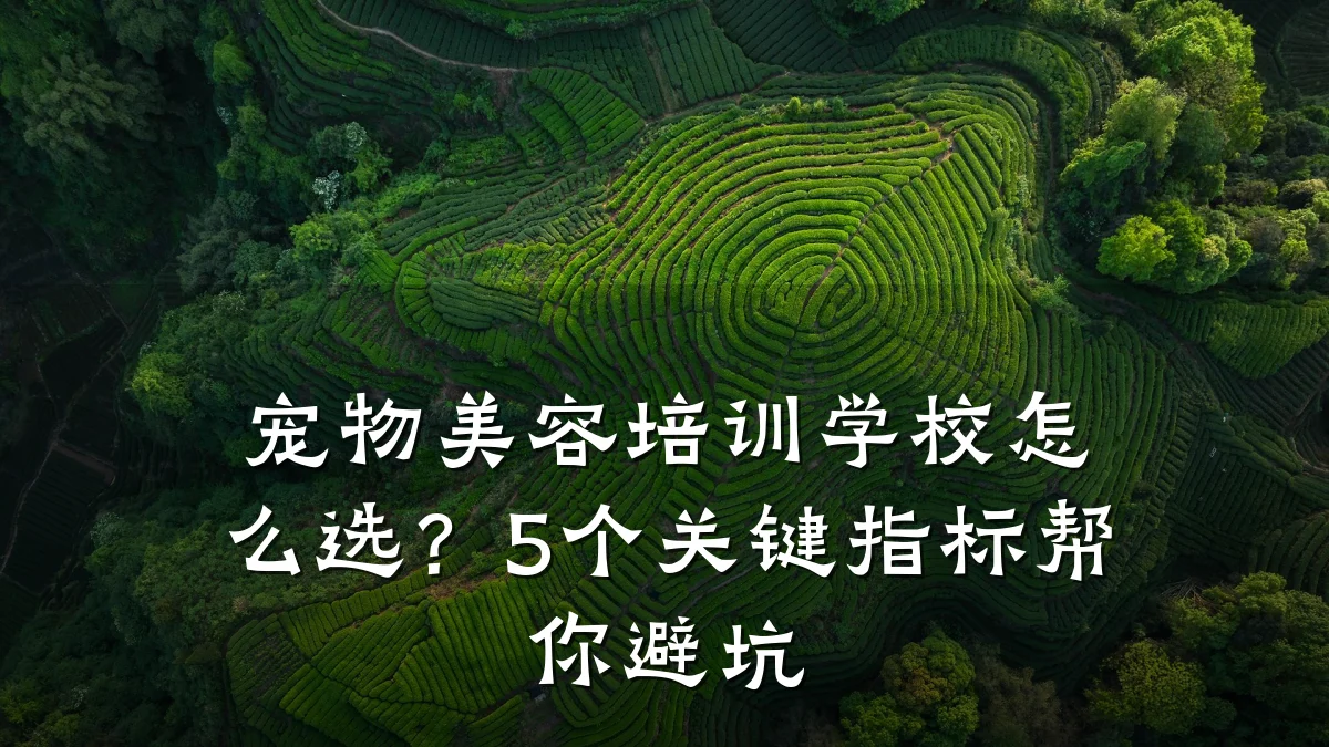 宠物美容培训学校怎么选？5个关键指标帮你避坑