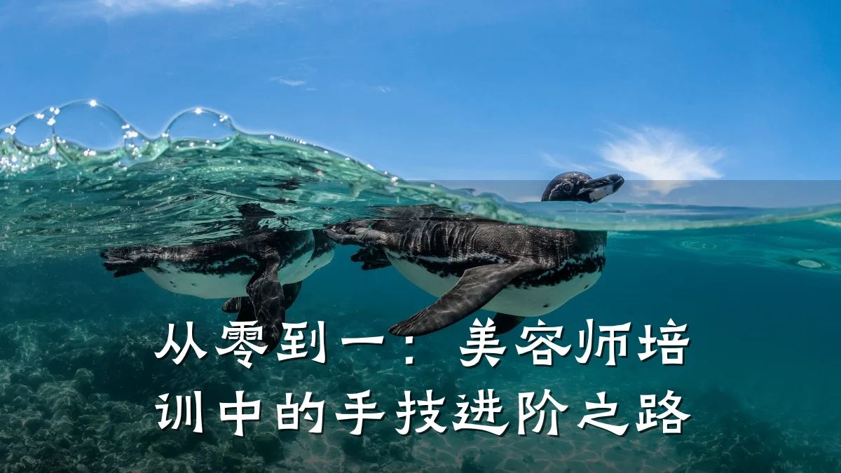从零到一：美容师培训中的手技进阶之路