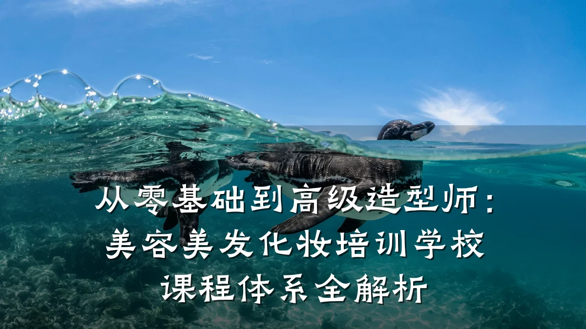 从零基础到高级造型师：美容美发化妆培训学校课程体系全解析
