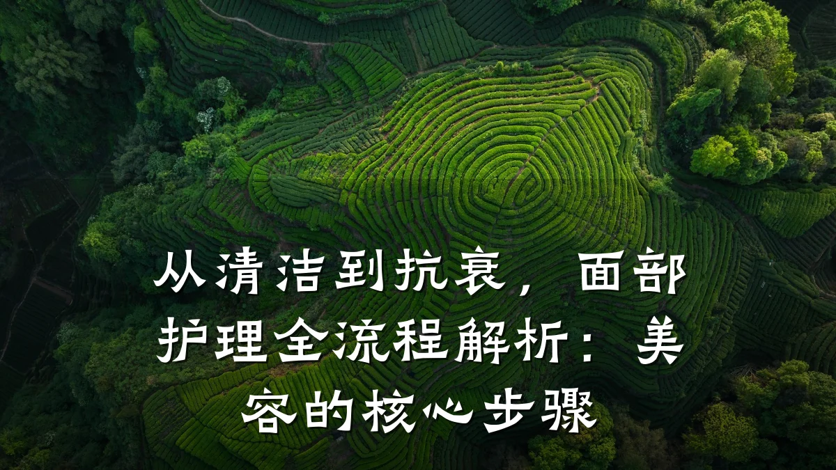 从清洁到抗衰，面部护理全流程解析：美容的核心步骤
