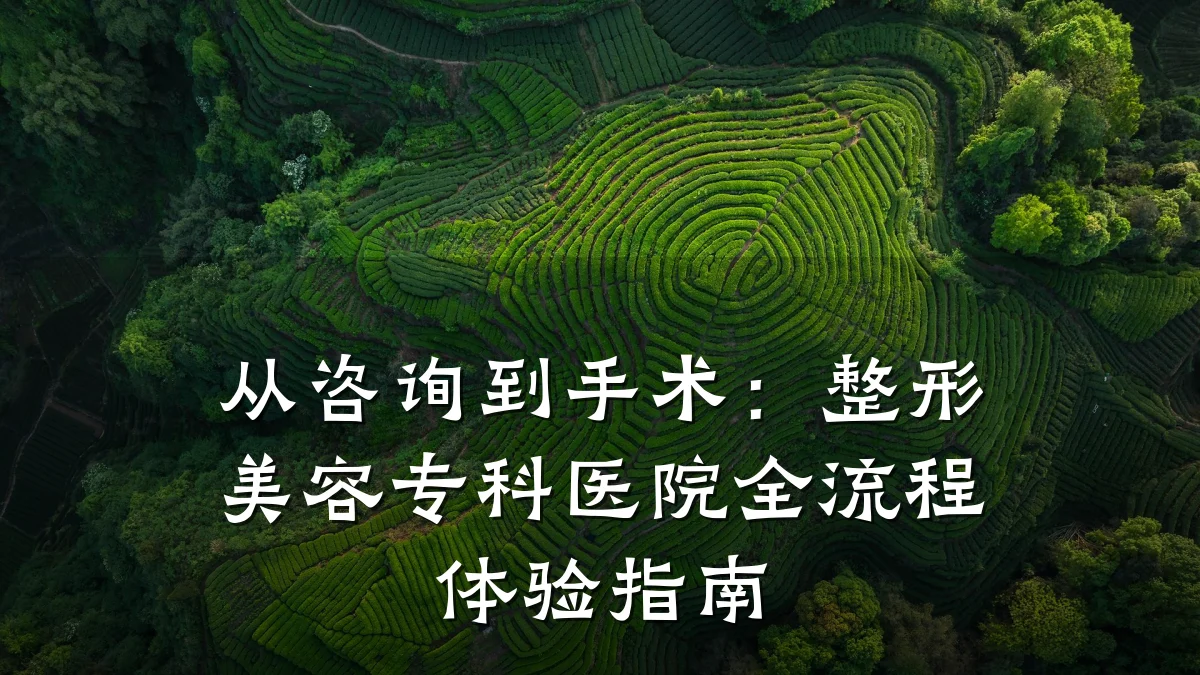 从咨询到手术：整形美容专科医院全流程体验指南