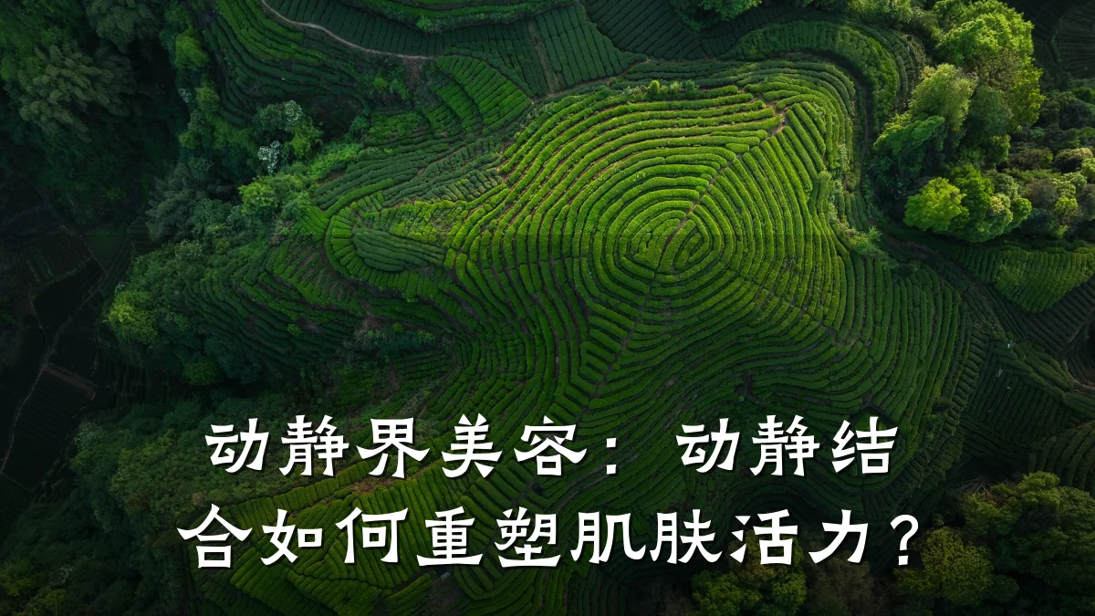 动静界美容：动静结合如何重塑肌肤活力？