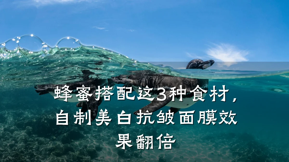 蜂蜜搭配这3种食材，自制美白抗皱面膜效果翻倍