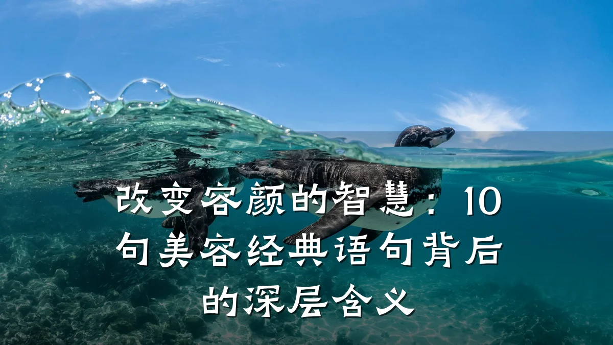 改变容颜的智慧：10句美容经典语句背后的深层含义