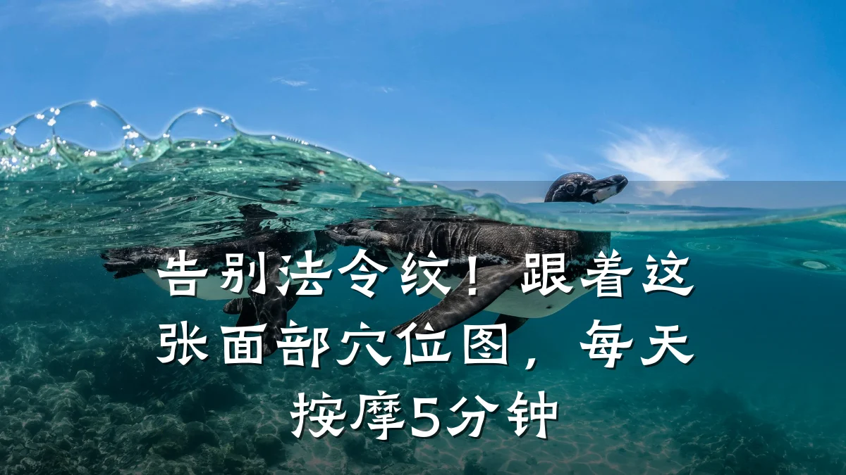 告别法令纹！跟着这张面部穴位图，每天按摩5分钟