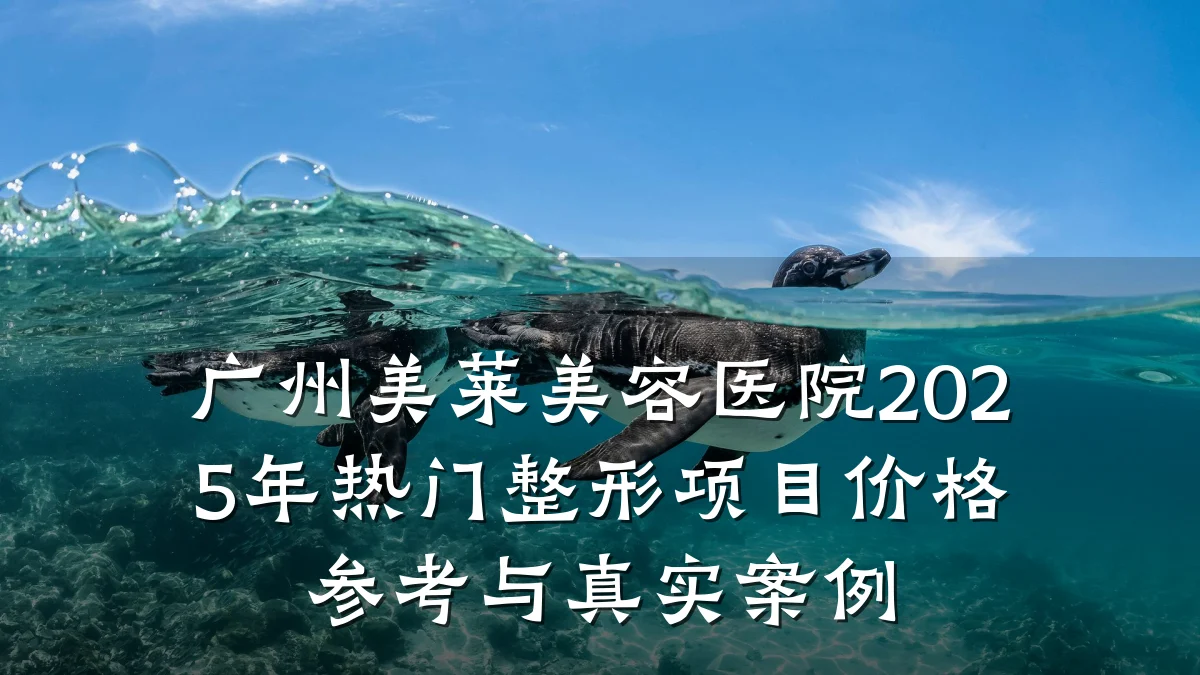 广州美莱美容医院2025年热门整形项目价格参考与真实案例