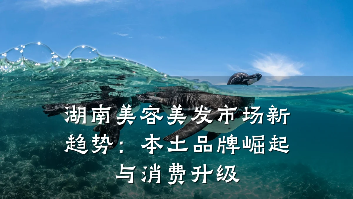 湖南美容美发市场新趋势：本土品牌崛起与消费升级