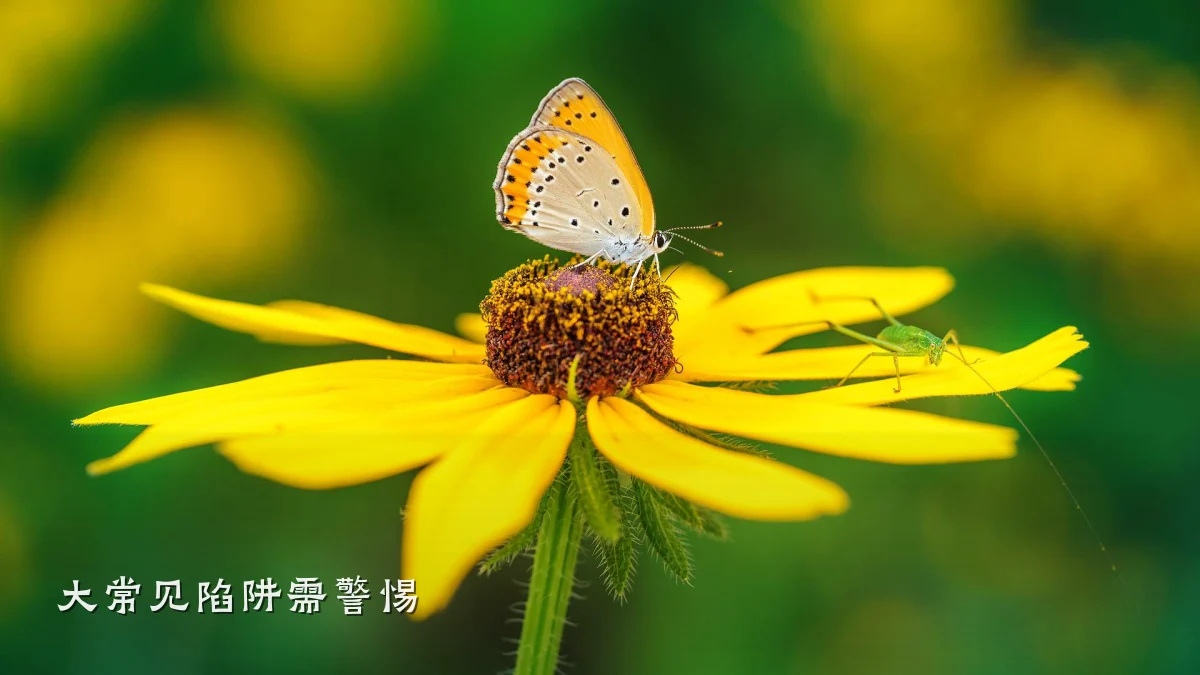 大常见陷阱需警惕