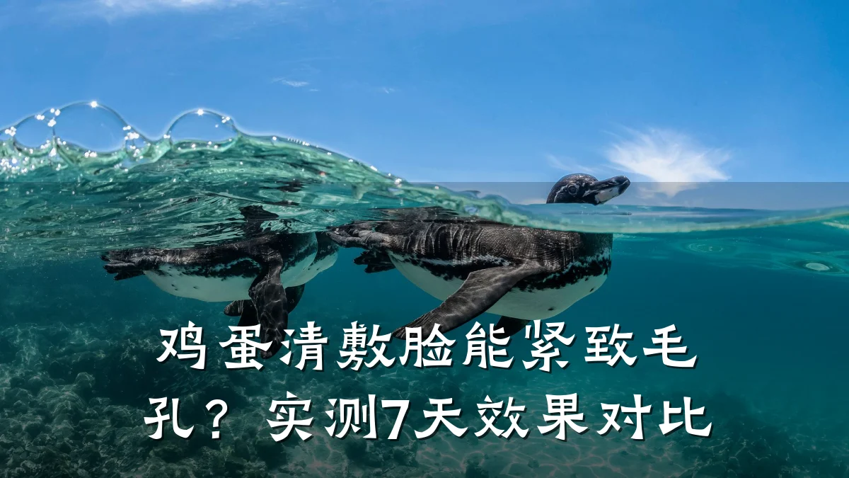 鸡蛋清敷脸能紧致毛孔？实测7天效果对比