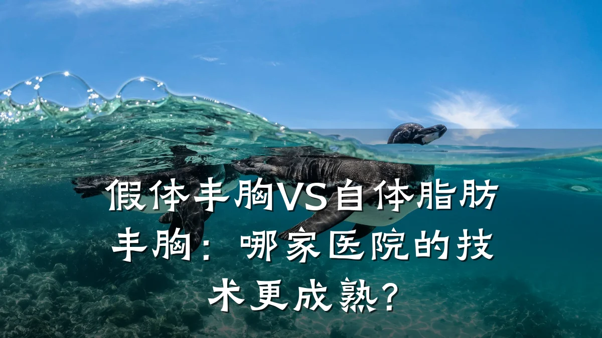 假体丰胸VS自体脂肪丰胸：哪家医院的技术更成熟？