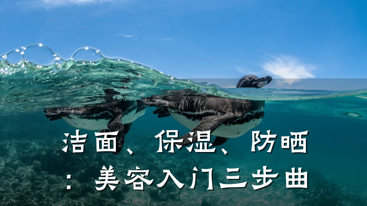 洁面、保湿、防晒：美容入门三步曲