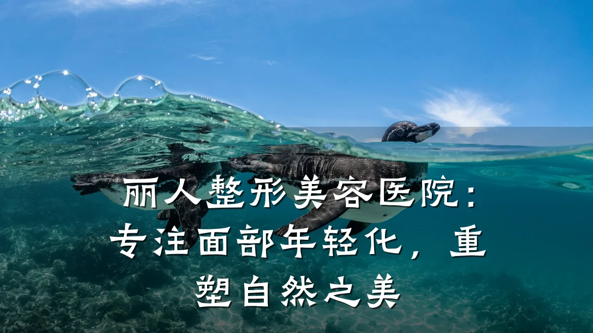 丽人整形美容医院：专注面部年轻化，重塑自然之美