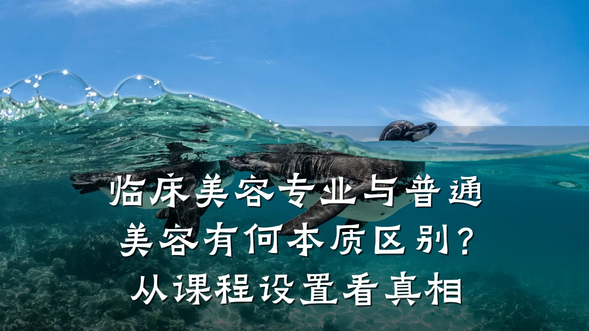 临床美容专业与普通美容有何本质区别？从课程设置看真相