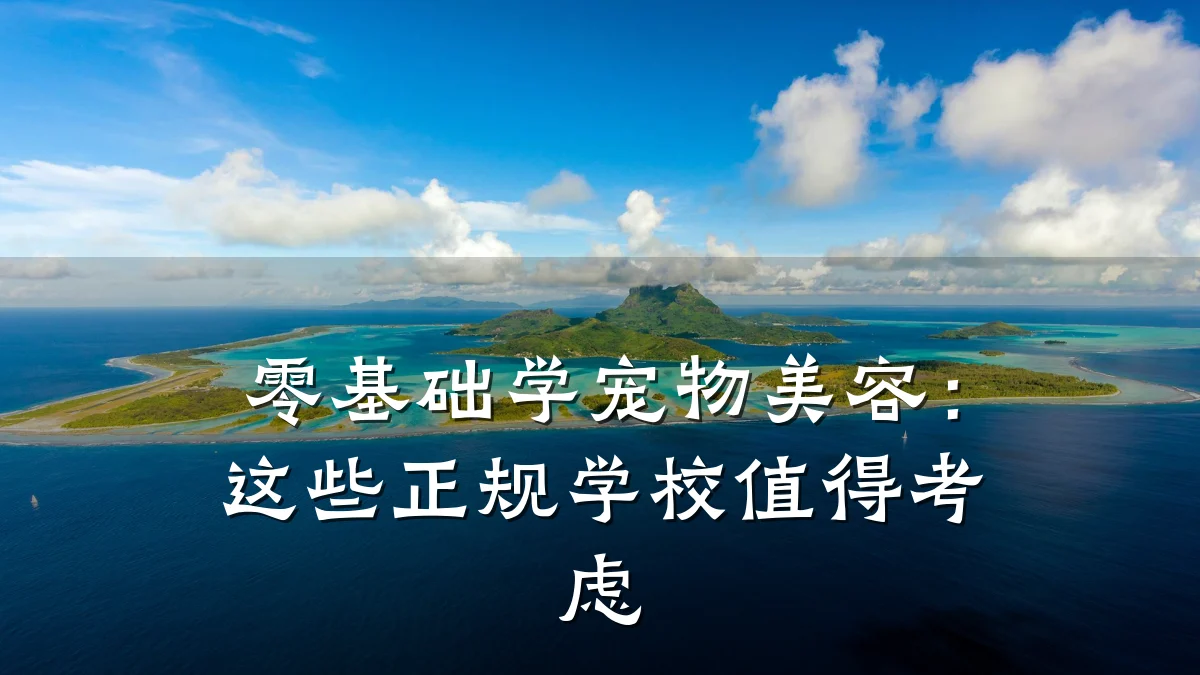 零基础学宠物美容：这些正规学校值得考虑