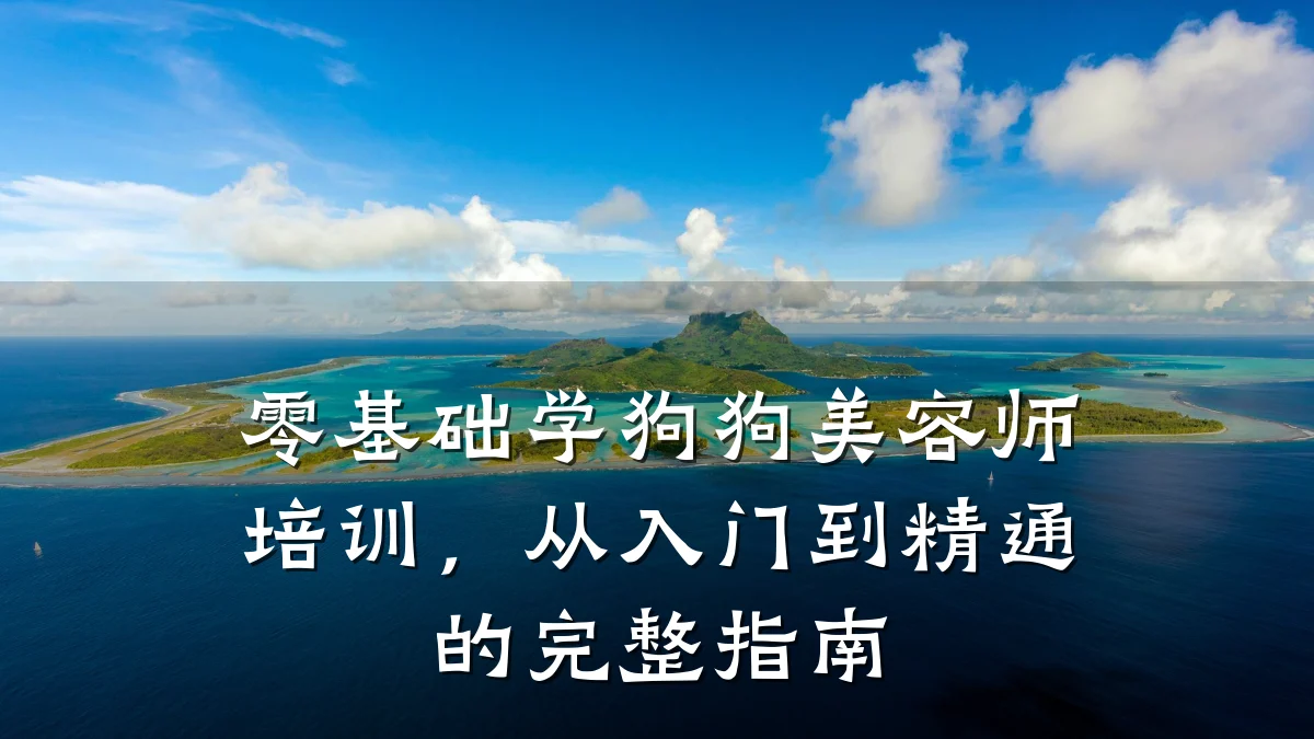 零基础学狗狗美容师培训，从入门到精通的完整指南