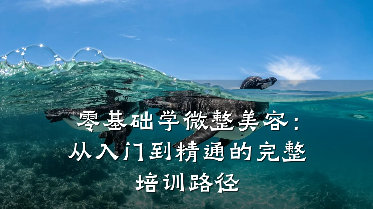 零基础学微整美容：从入门到精通的完整培训路径