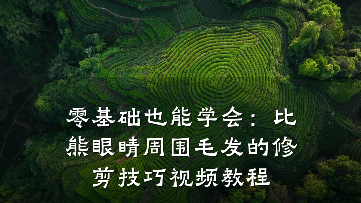 零基础也能学会：比熊眼睛周围毛发的修剪技巧视频教程
